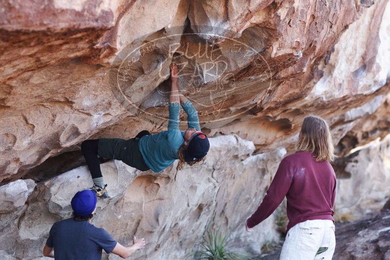 

Filename: SRM_20170103_1220022.jpg
Aperture: f/2.8
Shutter Speed: 1/400
Body: Canon EOS-1D Mark II
Lens: Canon EF 85mm f/1.2 L II