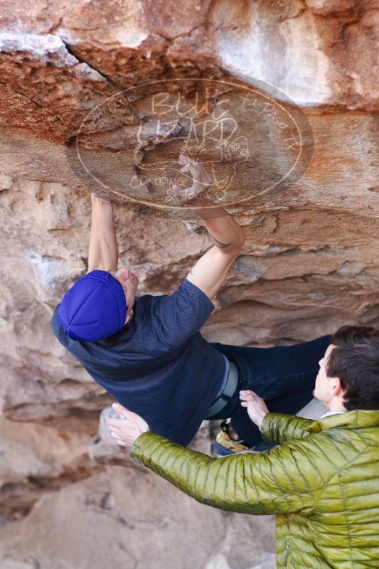 

Filename: SRM_20170103_1226080.jpg
Aperture: f/2.8
Shutter Speed: 1/320
Body: Canon EOS-1D Mark II
Lens: Canon EF 85mm f/1.2 L II