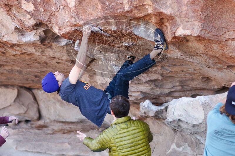 

Filename: SRM_20170103_1226210.jpg
Aperture: f/2.8
Shutter Speed: 1/320
Body: Canon EOS-1D Mark II
Lens: Canon EF 85mm f/1.2 L II