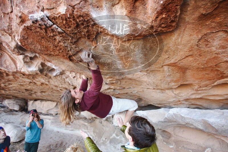 

Filename: SRM_20170103_1227353.jpg
Aperture: f/4.0
Shutter Speed: 1/200
Body: Canon EOS-1D Mark II
Lens: Canon EF 16-35mm f/2.8 L