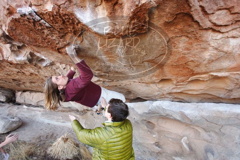 

Filename: SRM_20170103_1227390.jpg
Aperture: f/4.0
Shutter Speed: 1/200
Body: Canon EOS-1D Mark II
Lens: Canon EF 16-35mm f/2.8 L