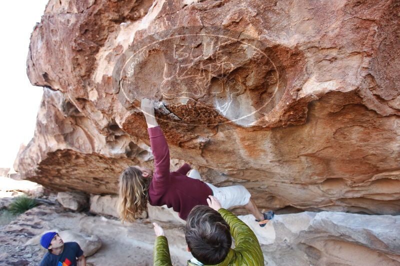 

Filename: SRM_20170103_1227490.jpg
Aperture: f/4.0
Shutter Speed: 1/250
Body: Canon EOS-1D Mark II
Lens: Canon EF 16-35mm f/2.8 L