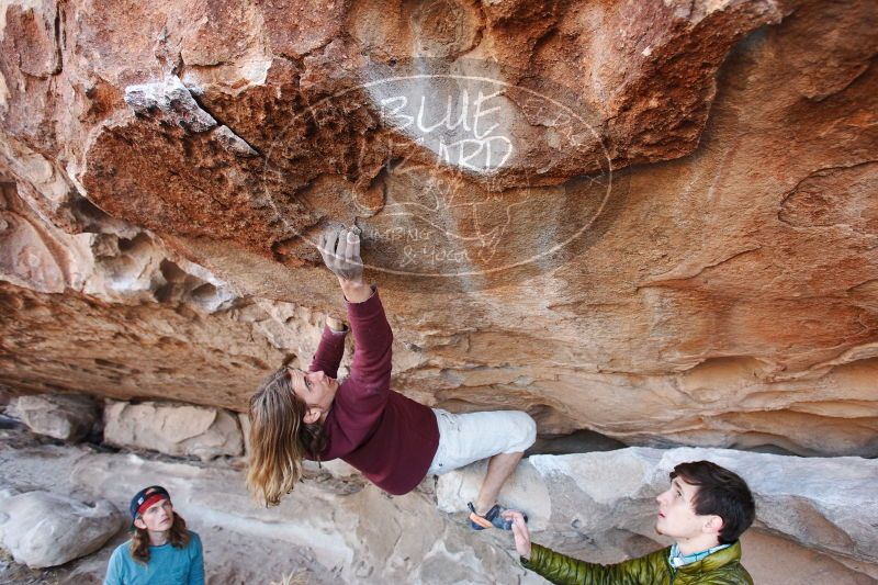 

Filename: SRM_20170103_1235210.jpg
Aperture: f/4.0
Shutter Speed: 1/250
Body: Canon EOS-1D Mark II
Lens: Canon EF 16-35mm f/2.8 L