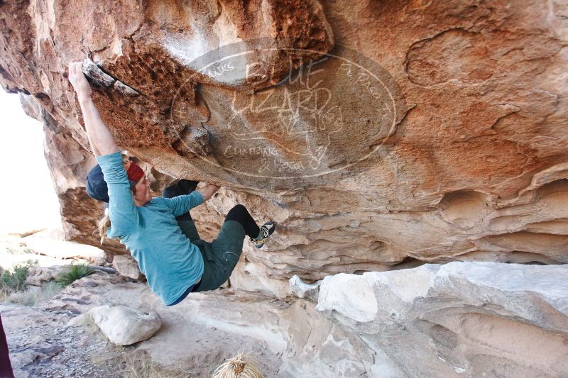 

Filename: SRM_20170103_1237190.jpg
Aperture: f/4.0
Shutter Speed: 1/320
Body: Canon EOS-1D Mark II
Lens: Canon EF 16-35mm f/2.8 L