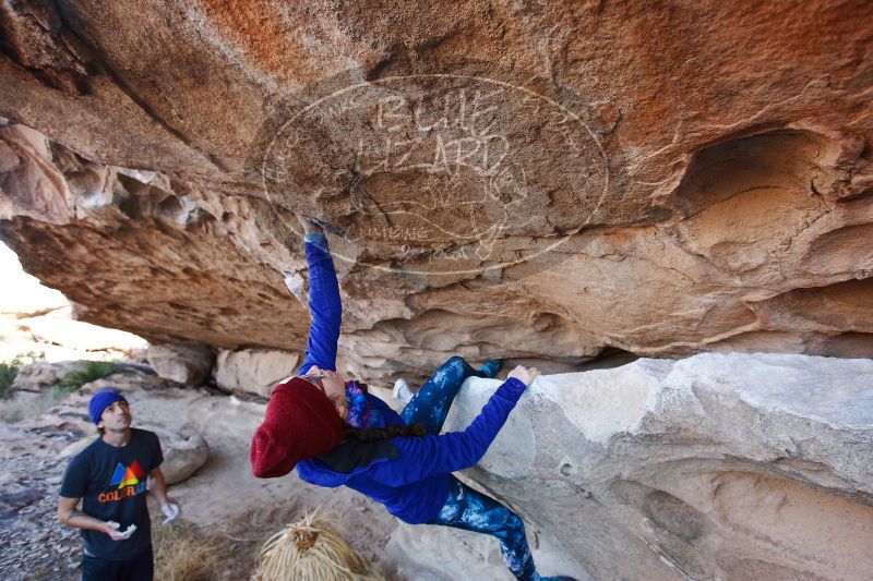 

Filename: SRM_20170103_1240550.jpg
Aperture: f/4.0
Shutter Speed: 1/320
Body: Canon EOS-1D Mark II
Lens: Canon EF 16-35mm f/2.8 L