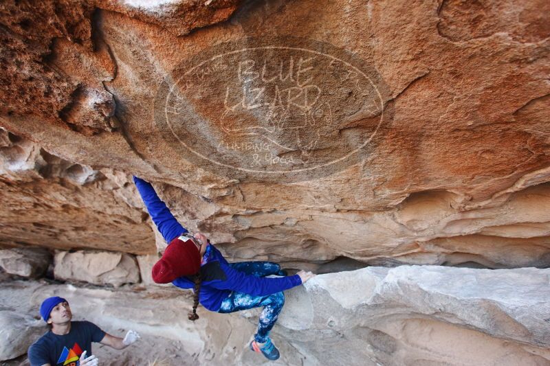 

Filename: SRM_20170103_1241021.jpg
Aperture: f/4.0
Shutter Speed: 1/320
Body: Canon EOS-1D Mark II
Lens: Canon EF 16-35mm f/2.8 L