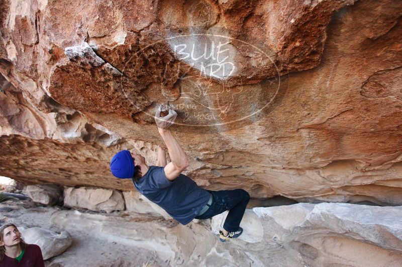 

Filename: SRM_20170103_1241423.jpg
Aperture: f/4.0
Shutter Speed: 1/320
Body: Canon EOS-1D Mark II
Lens: Canon EF 16-35mm f/2.8 L