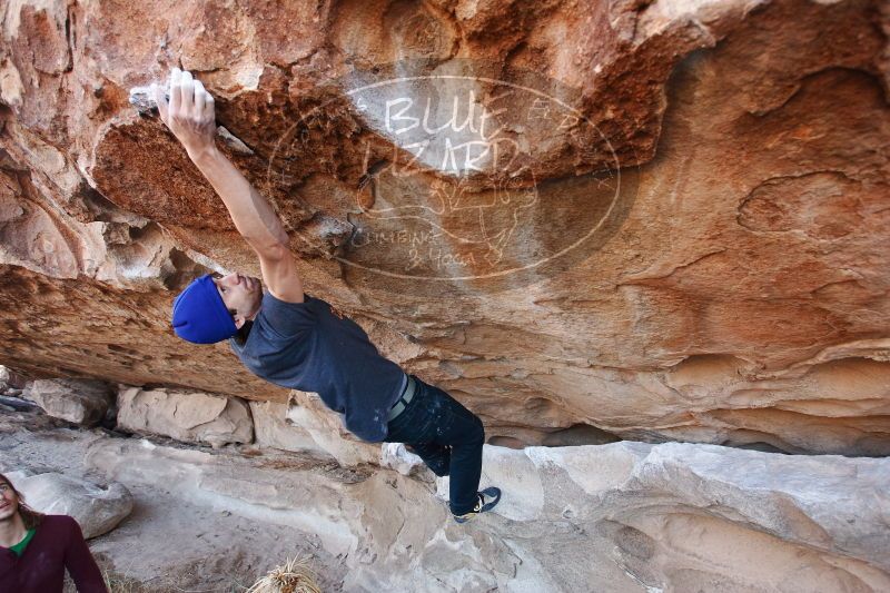 

Filename: SRM_20170103_1241460.jpg
Aperture: f/4.0
Shutter Speed: 1/320
Body: Canon EOS-1D Mark II
Lens: Canon EF 16-35mm f/2.8 L