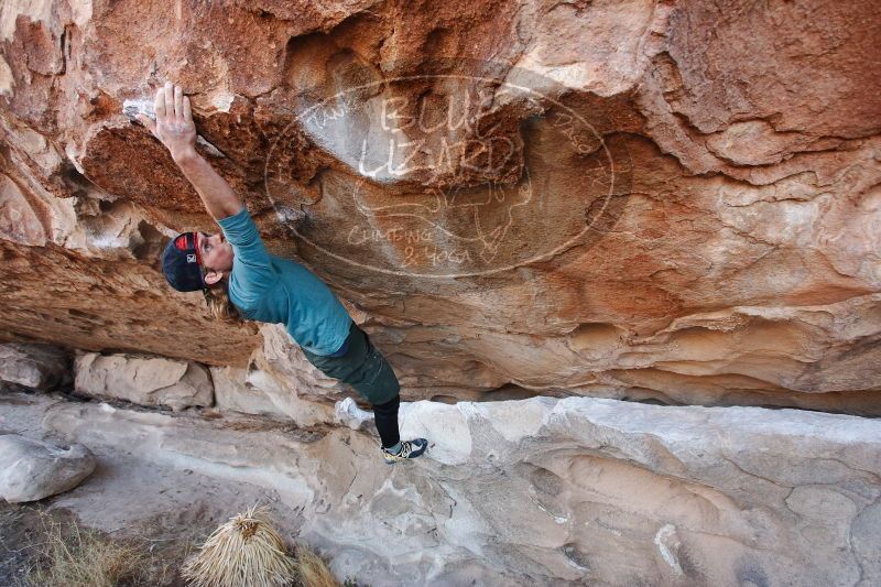 

Filename: SRM_20170103_1242211.jpg
Aperture: f/4.0
Shutter Speed: 1/400
Body: Canon EOS-1D Mark II
Lens: Canon EF 16-35mm f/2.8 L