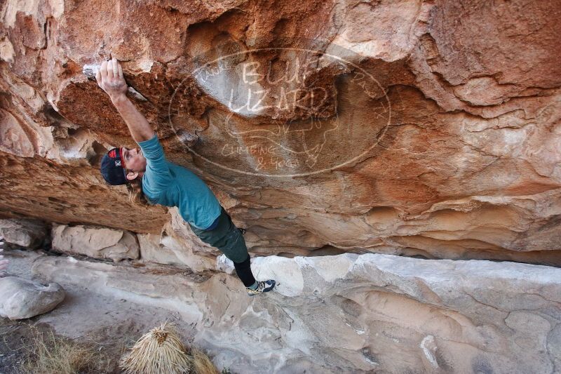 

Filename: SRM_20170103_1242212.jpg
Aperture: f/4.0
Shutter Speed: 1/400
Body: Canon EOS-1D Mark II
Lens: Canon EF 16-35mm f/2.8 L