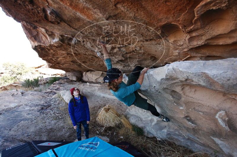 

Filename: SRM_20170103_1245010.jpg
Aperture: f/4.0
Shutter Speed: 1/500
Body: Canon EOS-1D Mark II
Lens: Canon EF 16-35mm f/2.8 L