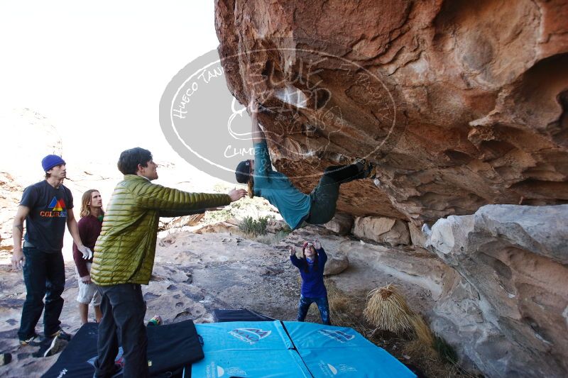 

Filename: SRM_20170103_1245230.jpg
Aperture: f/4.0
Shutter Speed: 1/640
Body: Canon EOS-1D Mark II
Lens: Canon EF 16-35mm f/2.8 L