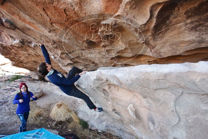 

Filename: SRM_20170103_1246540.jpg
Aperture: f/4.0
Shutter Speed: 1/320
Body: Canon EOS-1D Mark II
Lens: Canon EF 16-35mm f/2.8 L