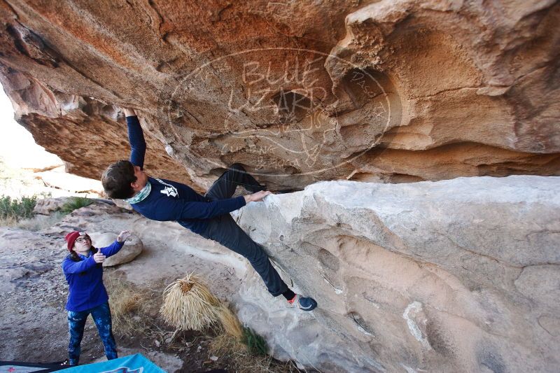 

Filename: SRM_20170103_1247050.jpg
Aperture: f/4.0
Shutter Speed: 1/320
Body: Canon EOS-1D Mark II
Lens: Canon EF 16-35mm f/2.8 L