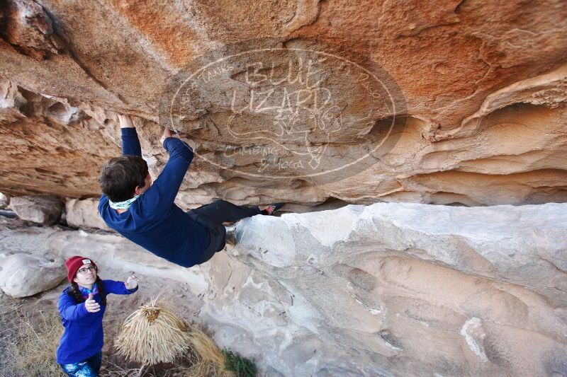 

Filename: SRM_20170103_1247240.jpg
Aperture: f/4.0
Shutter Speed: 1/250
Body: Canon EOS-1D Mark II
Lens: Canon EF 16-35mm f/2.8 L