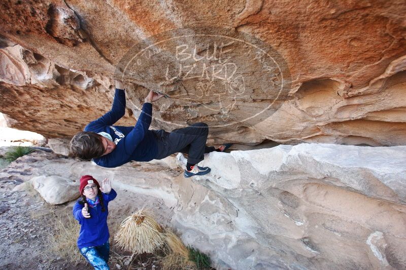 

Filename: SRM_20170103_1247310.jpg
Aperture: f/4.0
Shutter Speed: 1/250
Body: Canon EOS-1D Mark II
Lens: Canon EF 16-35mm f/2.8 L