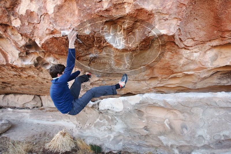 

Filename: SRM_20170103_1247420.jpg
Aperture: f/4.0
Shutter Speed: 1/250
Body: Canon EOS-1D Mark II
Lens: Canon EF 16-35mm f/2.8 L