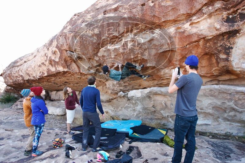 

Filename: SRM_20170103_1248481.jpg
Aperture: f/4.0
Shutter Speed: 1/320
Body: Canon EOS-1D Mark II
Lens: Canon EF 16-35mm f/2.8 L