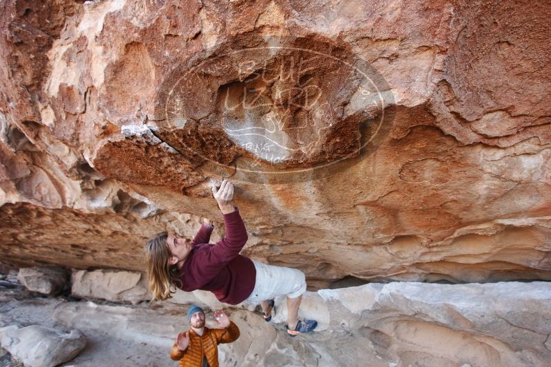 

Filename: SRM_20170103_1252080.jpg
Aperture: f/4.0
Shutter Speed: 1/320
Body: Canon EOS-1D Mark II
Lens: Canon EF 16-35mm f/2.8 L