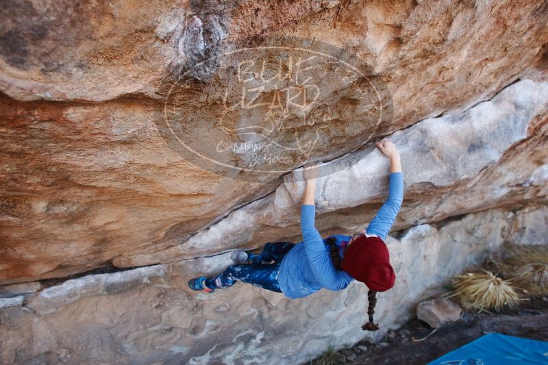 

Filename: SRM_20170103_1256010.jpg
Aperture: f/4.0
Shutter Speed: 1/400
Body: Canon EOS-1D Mark II
Lens: Canon EF 16-35mm f/2.8 L