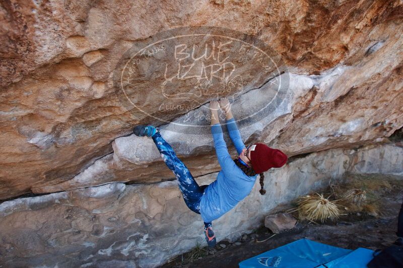 

Filename: SRM_20170103_1256160.jpg
Aperture: f/4.0
Shutter Speed: 1/500
Body: Canon EOS-1D Mark II
Lens: Canon EF 16-35mm f/2.8 L