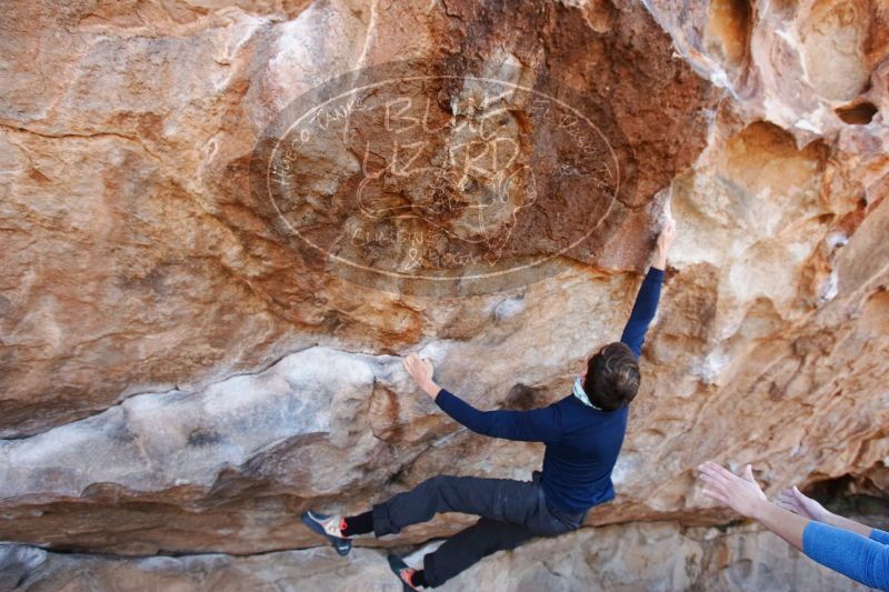 

Filename: SRM_20170103_1258040.jpg
Aperture: f/4.0
Shutter Speed: 1/400
Body: Canon EOS-1D Mark II
Lens: Canon EF 16-35mm f/2.8 L