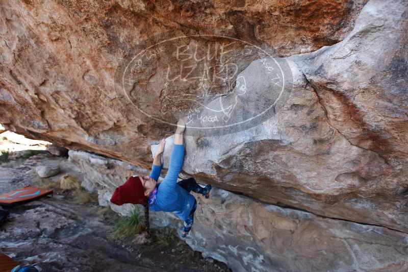 

Filename: SRM_20170103_1301350.jpg
Aperture: f/4.0
Shutter Speed: 1/500
Body: Canon EOS-1D Mark II
Lens: Canon EF 16-35mm f/2.8 L