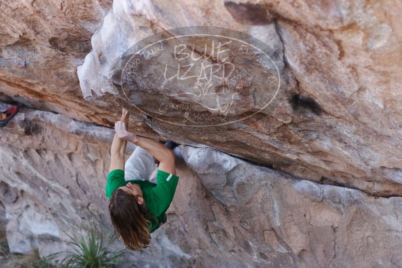 

Filename: SRM_20170103_1308350.jpg
Aperture: f/2.8
Shutter Speed: 1/500
Body: Canon EOS-1D Mark II
Lens: Canon EF 85mm f/1.2 L II