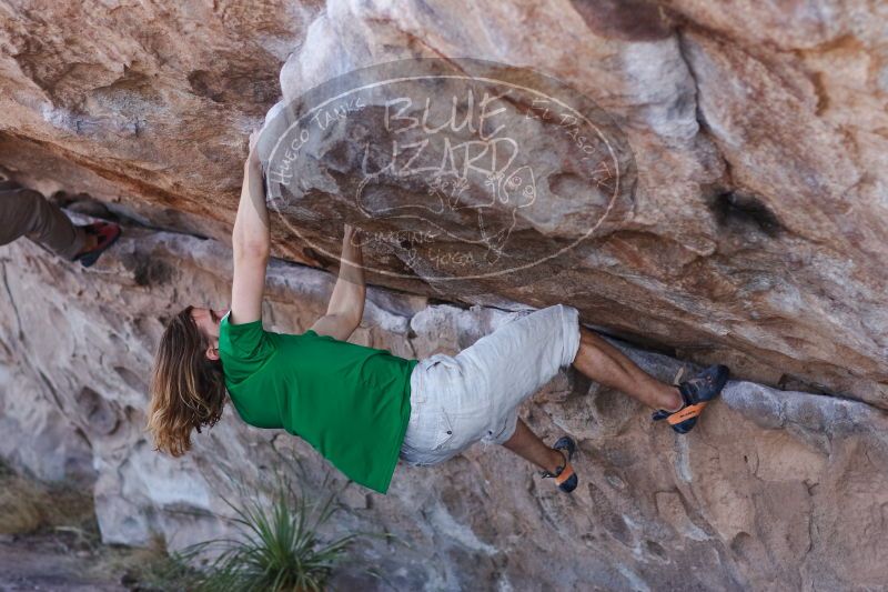 

Filename: SRM_20170103_1308401.jpg
Aperture: f/2.8
Shutter Speed: 1/640
Body: Canon EOS-1D Mark II
Lens: Canon EF 85mm f/1.2 L II