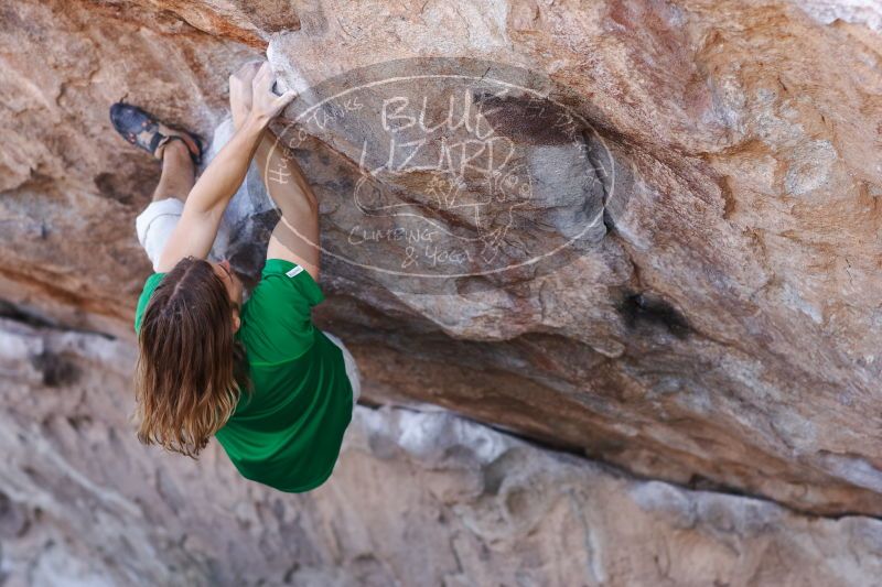 

Filename: SRM_20170103_1309231.jpg
Aperture: f/2.8
Shutter Speed: 1/500
Body: Canon EOS-1D Mark II
Lens: Canon EF 85mm f/1.2 L II