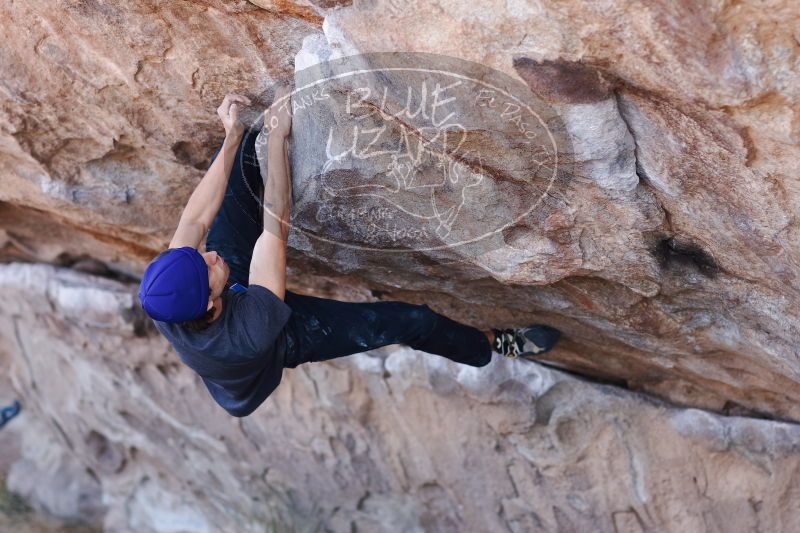 

Filename: SRM_20170103_1310060.jpg
Aperture: f/2.8
Shutter Speed: 1/500
Body: Canon EOS-1D Mark II
Lens: Canon EF 85mm f/1.2 L II