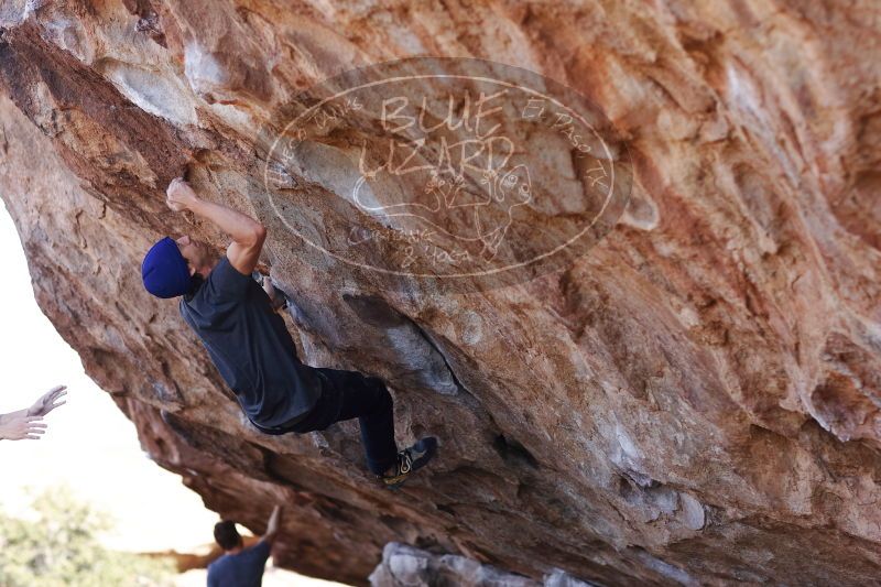 

Filename: SRM_20170103_1310280.jpg
Aperture: f/2.8
Shutter Speed: 1/800
Body: Canon EOS-1D Mark II
Lens: Canon EF 85mm f/1.2 L II