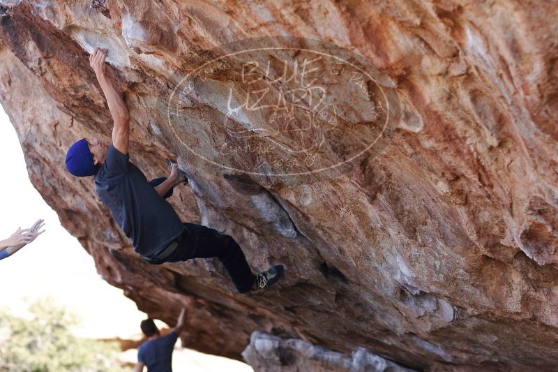 

Filename: SRM_20170103_1310282.jpg
Aperture: f/2.8
Shutter Speed: 1/1000
Body: Canon EOS-1D Mark II
Lens: Canon EF 85mm f/1.2 L II