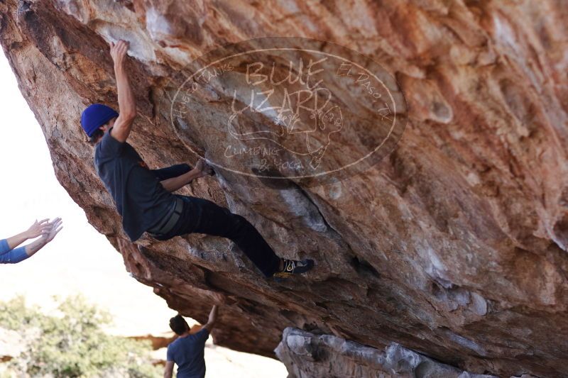 

Filename: SRM_20170103_1310290.jpg
Aperture: f/2.8
Shutter Speed: 1/1000
Body: Canon EOS-1D Mark II
Lens: Canon EF 85mm f/1.2 L II