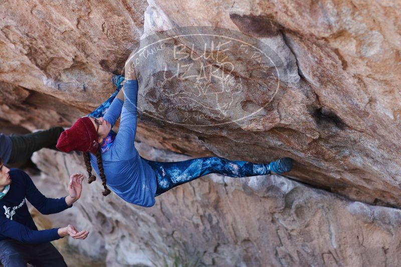 

Filename: SRM_20170103_1311572.jpg
Aperture: f/2.8
Shutter Speed: 1/640
Body: Canon EOS-1D Mark II
Lens: Canon EF 85mm f/1.2 L II