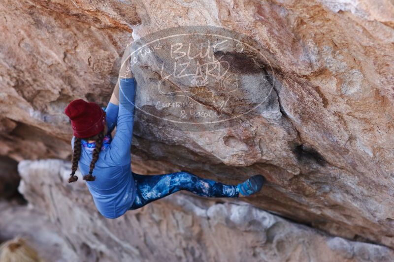 

Filename: SRM_20170103_1312051.jpg
Aperture: f/2.8
Shutter Speed: 1/640
Body: Canon EOS-1D Mark II
Lens: Canon EF 85mm f/1.2 L II