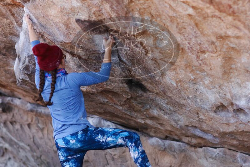 

Filename: SRM_20170103_1312110.jpg
Aperture: f/2.8
Shutter Speed: 1/640
Body: Canon EOS-1D Mark II
Lens: Canon EF 85mm f/1.2 L II