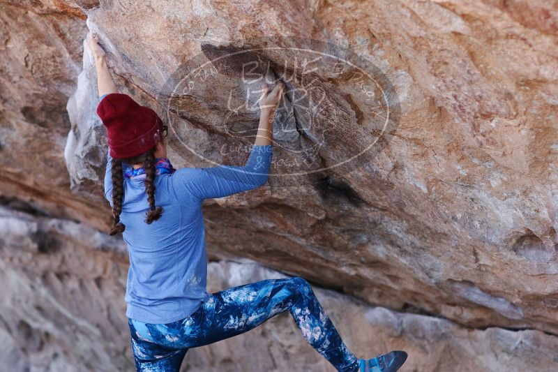 

Filename: SRM_20170103_1312112.jpg
Aperture: f/2.8
Shutter Speed: 1/640
Body: Canon EOS-1D Mark II
Lens: Canon EF 85mm f/1.2 L II