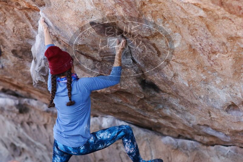 

Filename: SRM_20170103_1312113.jpg
Aperture: f/2.8
Shutter Speed: 1/640
Body: Canon EOS-1D Mark II
Lens: Canon EF 85mm f/1.2 L II