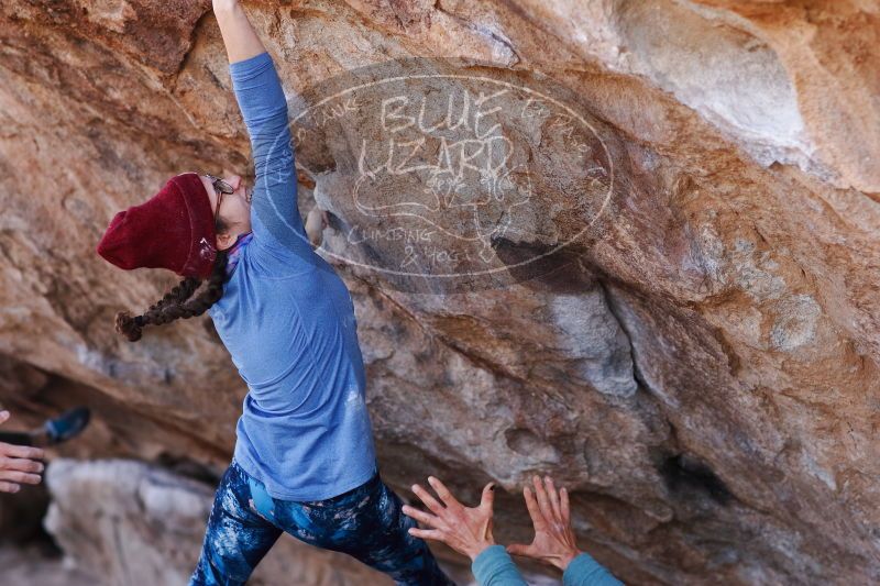 

Filename: SRM_20170103_1312200.jpg
Aperture: f/2.8
Shutter Speed: 1/800
Body: Canon EOS-1D Mark II
Lens: Canon EF 85mm f/1.2 L II