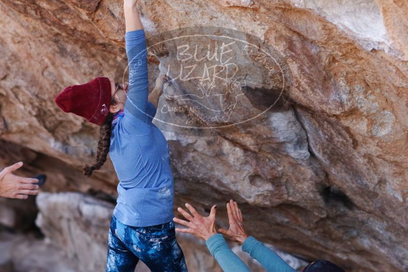 

Filename: SRM_20170103_1312201.jpg
Aperture: f/2.8
Shutter Speed: 1/800
Body: Canon EOS-1D Mark II
Lens: Canon EF 85mm f/1.2 L II