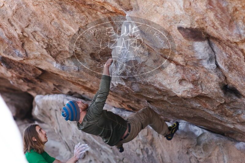 

Filename: SRM_20170103_1315150.jpg
Aperture: f/2.8
Shutter Speed: 1/640
Body: Canon EOS-1D Mark II
Lens: Canon EF 85mm f/1.2 L II