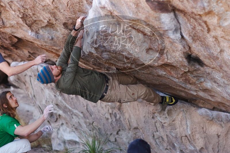 

Filename: SRM_20170103_1315200.jpg
Aperture: f/2.8
Shutter Speed: 1/500
Body: Canon EOS-1D Mark II
Lens: Canon EF 85mm f/1.2 L II