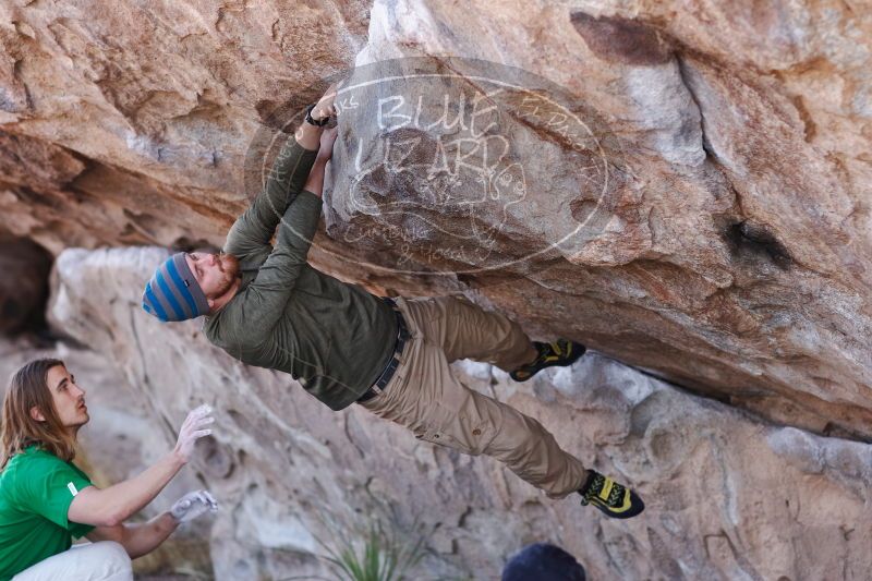 

Filename: SRM_20170103_1315210.jpg
Aperture: f/2.8
Shutter Speed: 1/500
Body: Canon EOS-1D Mark II
Lens: Canon EF 85mm f/1.2 L II