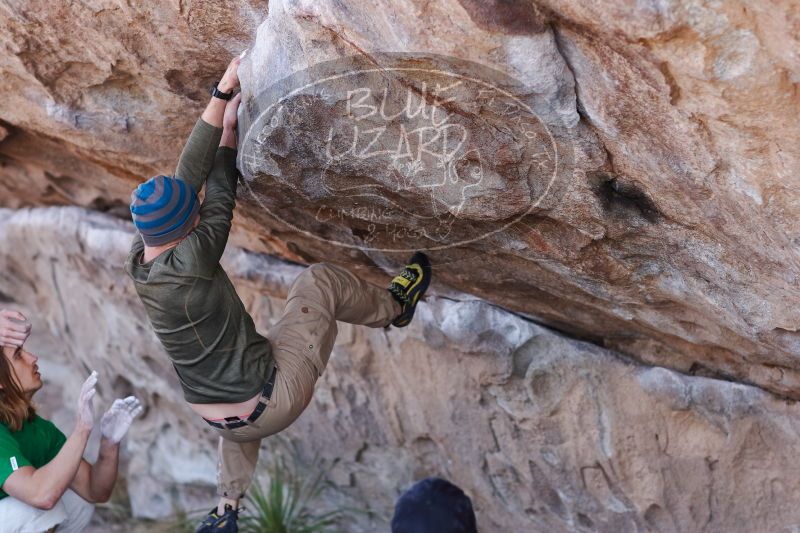 

Filename: SRM_20170103_1315280.jpg
Aperture: f/2.8
Shutter Speed: 1/640
Body: Canon EOS-1D Mark II
Lens: Canon EF 85mm f/1.2 L II