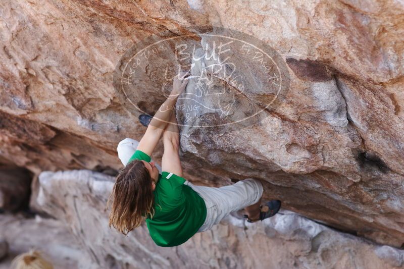 

Filename: SRM_20170103_1321520.jpg
Aperture: f/2.8
Shutter Speed: 1/640
Body: Canon EOS-1D Mark II
Lens: Canon EF 85mm f/1.2 L II