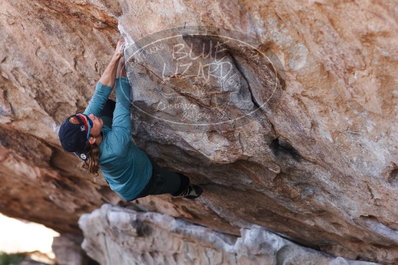 

Filename: SRM_20170103_1325340.jpg
Aperture: f/2.8
Shutter Speed: 1/500
Body: Canon EOS-1D Mark II
Lens: Canon EF 85mm f/1.2 L II