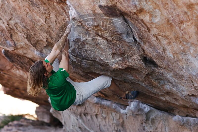 

Filename: SRM_20170103_1327240.jpg
Aperture: f/2.8
Shutter Speed: 1/640
Body: Canon EOS-1D Mark II
Lens: Canon EF 85mm f/1.2 L II