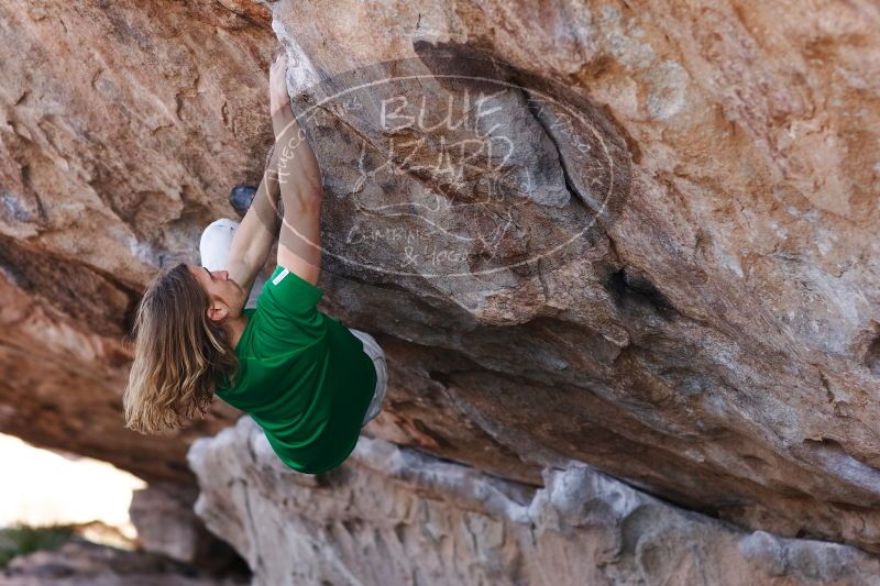 

Filename: SRM_20170103_1327340.jpg
Aperture: f/2.8
Shutter Speed: 1/500
Body: Canon EOS-1D Mark II
Lens: Canon EF 85mm f/1.2 L II