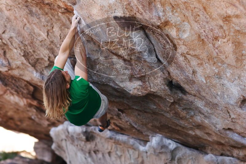 

Filename: SRM_20170103_1327370.jpg
Aperture: f/2.8
Shutter Speed: 1/500
Body: Canon EOS-1D Mark II
Lens: Canon EF 85mm f/1.2 L II